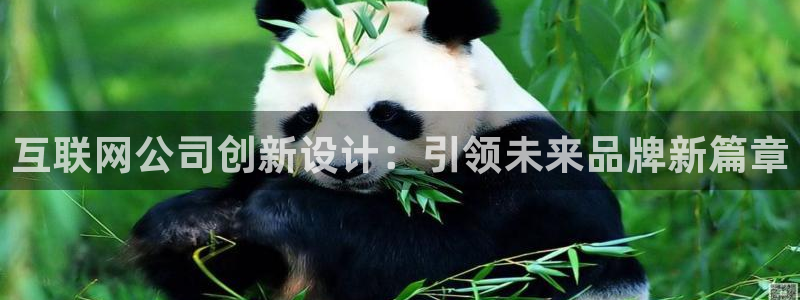 先锋娱乐集团