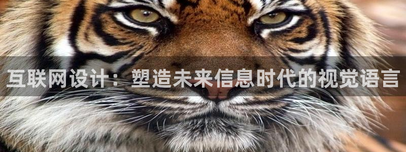 先锋娱乐邀请码多少位啊