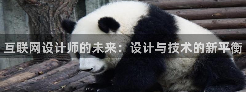 先锋娱乐公司：互联网设计师的未