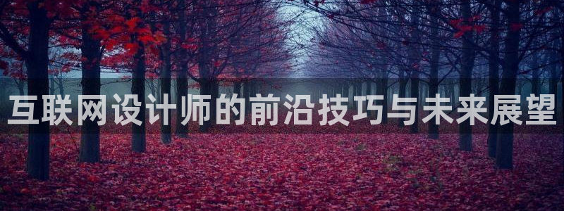 先锋娱乐转进去钱：互联网设计师