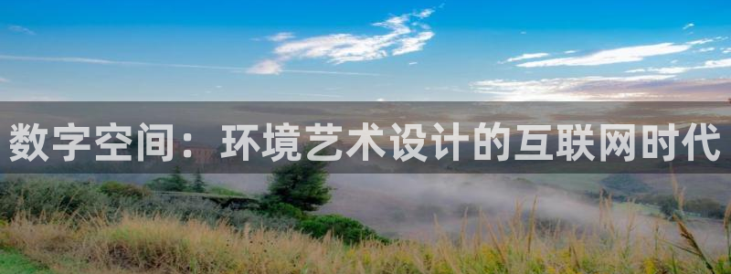 先锋娱乐邀请码多少位啊：数字空
