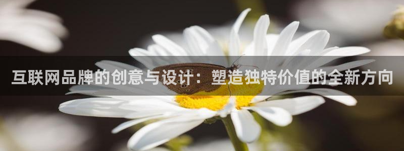 先锋娱乐客服中心：互联网品牌的