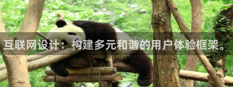 先锋娱乐大厅斗牛：互联网设计：