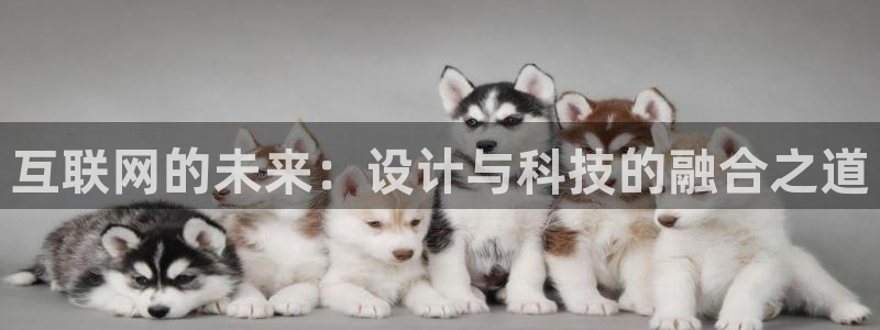先锋娱乐游戏上分地址：互联网的