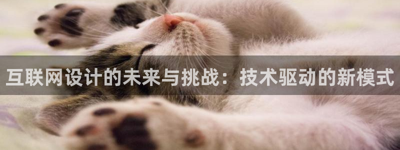 先锋娱乐在线：互联网设计的未来