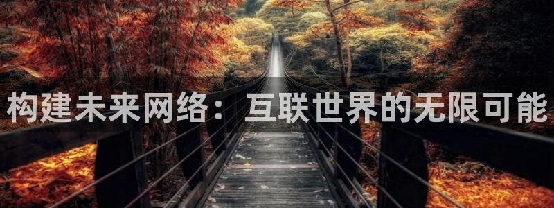 先锋娱乐场所：构建未来网络：互