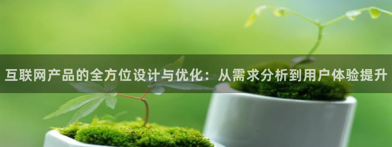 先锋队娱乐