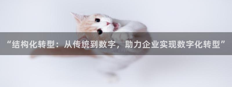 先锋娱乐账号注册不了