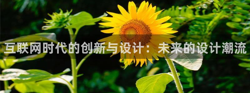 先锋娱乐账号注册不了