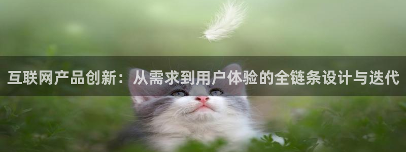 先锋方舟娱乐集团