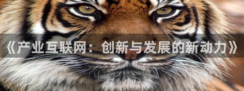 先锋娱乐电子游戏