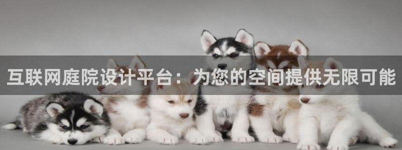 先锋娱乐大厅透视：互联网庭院设