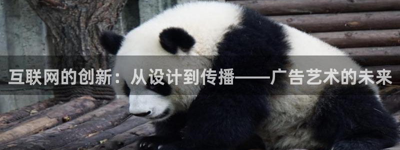 先锋队娱乐：互联网的创新：从设