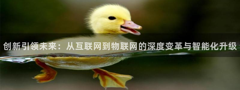 先锋娱乐游戏软件：创新引领未来