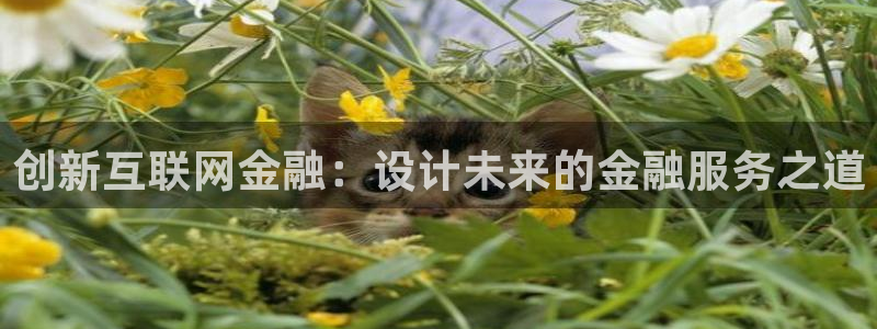 先锋娱乐链接：创新互联网金融：