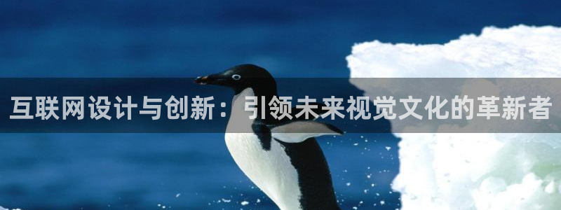 先锋娱乐管理集团：互联网设计与