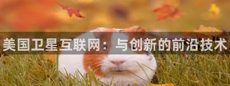 先锋娱乐注册：美国卫星互联网：