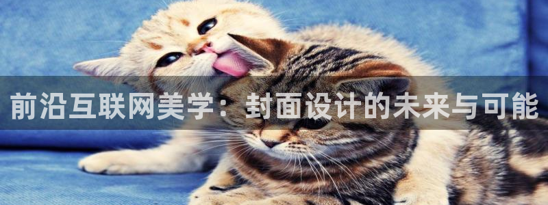 先锋娱乐体育：前沿互联网美学：