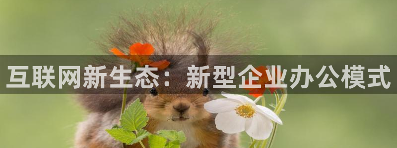 先锋娱乐注册