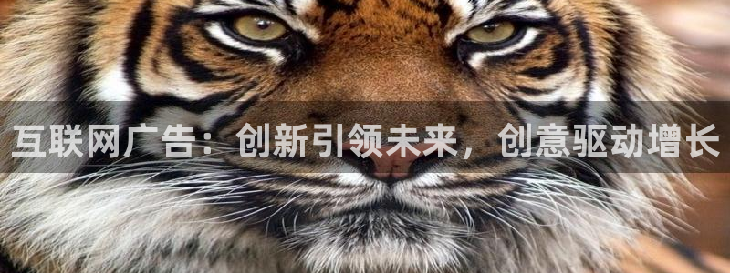 先锋娱乐大厅有挂吗：互联网广告